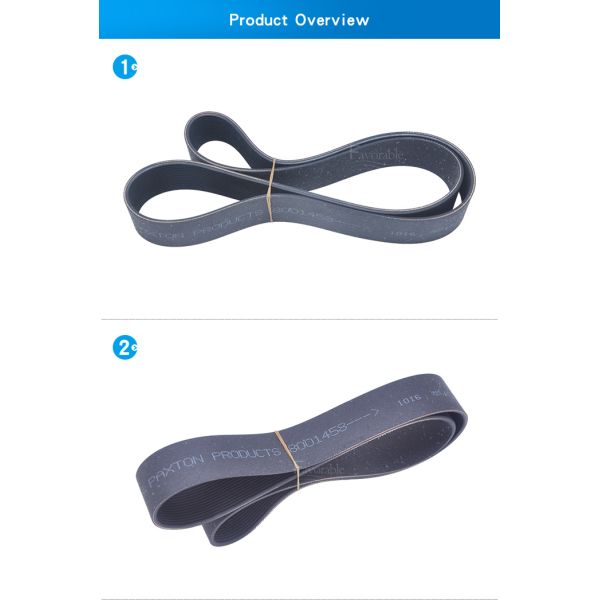 La ceinture de moteur de Paxton 113cm 3.8cm pour le coupeur de Gerber partie DCS1500/2500 180500264