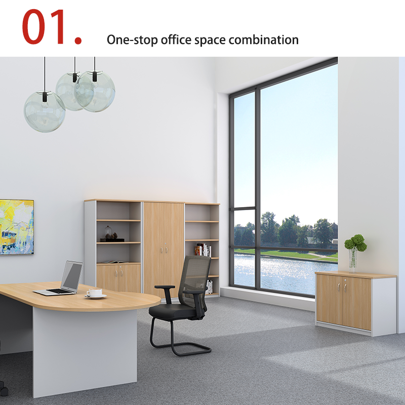 Double Door with Key Lock, Large Capacity Filing Cabinet, Wall Mounted Low Cabinet, Customizable Classified FilingCabinet