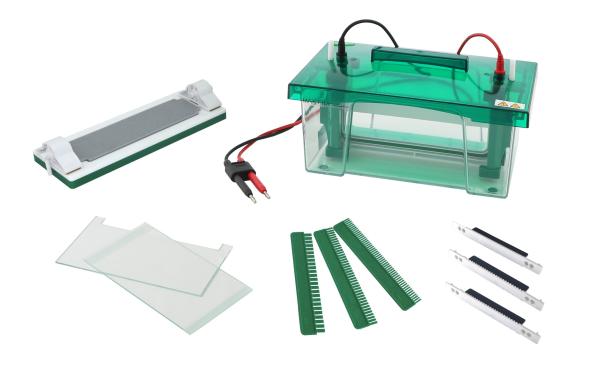 Rapid SSR Mini Gel Electrophoresis System Auto Switch Off Open Button Design