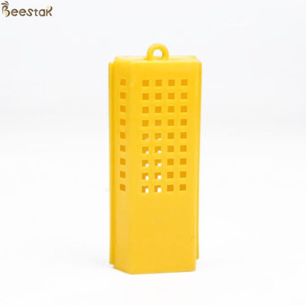 La Reine de l'apiculture élevant la reine des abeilles en bambou et en plastique élevant la cage