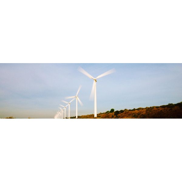 Packaging Food & Beverage Industry Self-Lubricating Bronze Flanged Sleeve Bushes Bearings