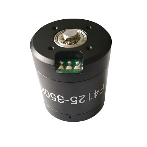 Faradyi Customized 12V 24V High Torque Brushless Tubular Submersible Vibration Waterproof Motor For Mini DC Electric Surfboard