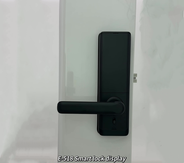 High Security Standard Electronic Electric Tuya App Smart Lock Digital Automatic Biometric Fingerprint Door Lock ForHome