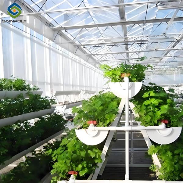 Large Size Hydroponic Farming Greenhouse For Vegetable Fruits Growth