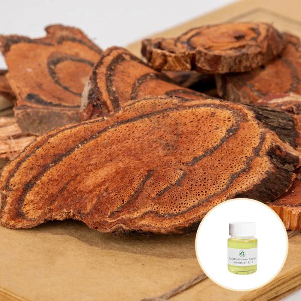 Therapeutic Grade Pure Organic Essential Oils Spatholobus Stem Essential Oil 5KG