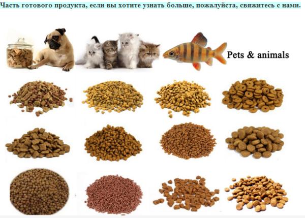 Multifunctional Dry Kibble Pet Food Extrusion Equipment for Food and Beverage Plants