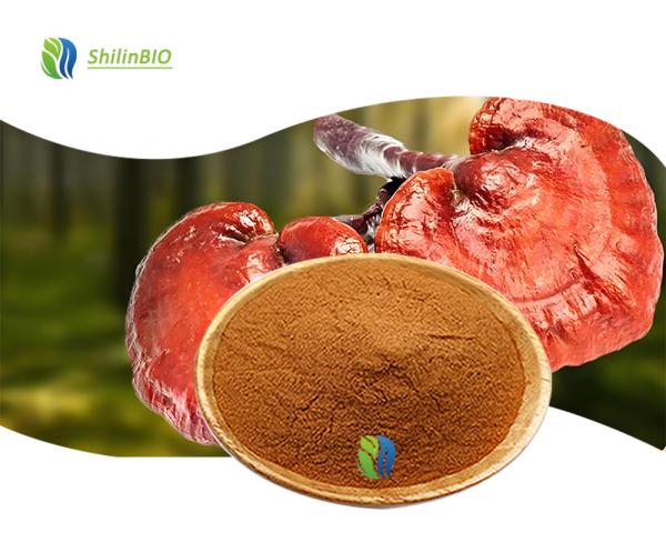 Ganoderma Lucidum Spore Powder