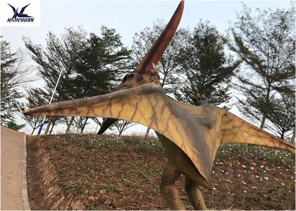 Life Size Velociraptor Outdoor Dinosaur  , Waterproof Little Pterosaur Dinosaur Garden Sculpture 