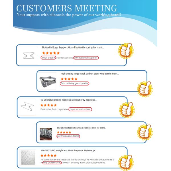 OEM Промышленность Матрас аксессуары Универсальная поддержка Бабочка пружина Напряжение