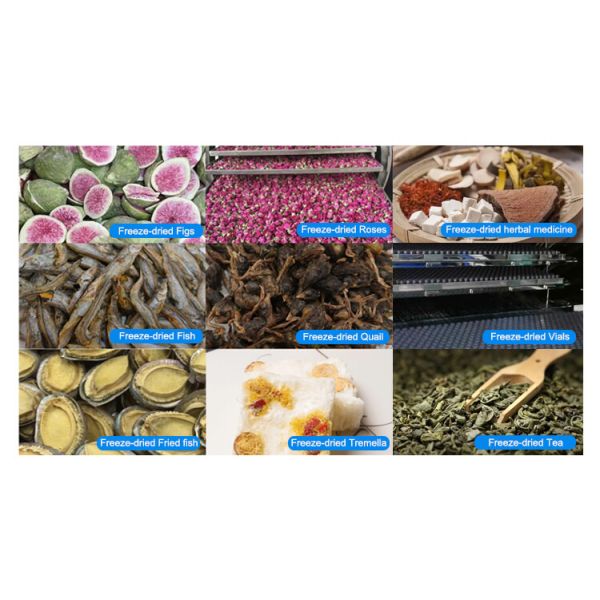 OEM сушилки для заморозки вакуумный насос оборудование для заморозки Top Press