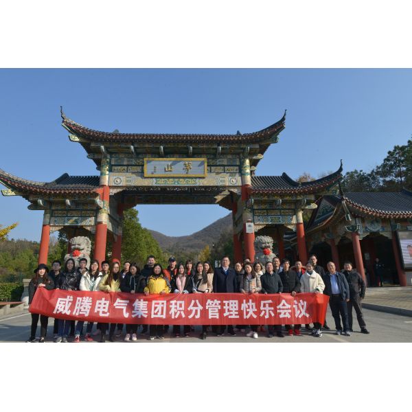 Wetown Electric Group Co.,Ltd.