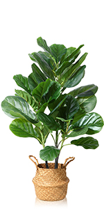 Artificial Golden Dieffenbachia Plant 43 Inch Tall Fake Tropical Lifelike Tree in Pot Silk Faux Dark Green Plant