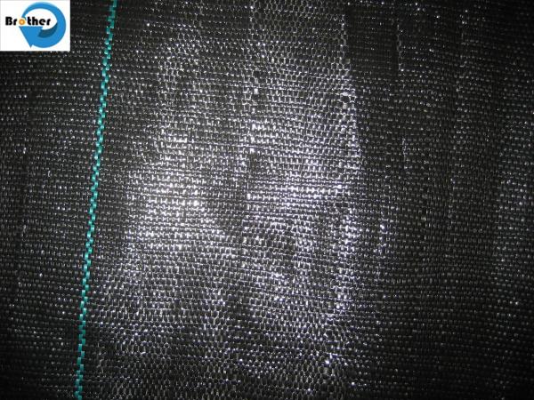 100% Anti Grass PP Woven Weed Control Cloth, Agro Plant Ground Cover Landscape Fabric
