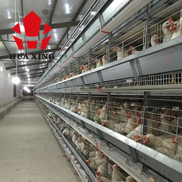 Battery Layer Chicken Cage With Poultry Farming Equipment For Animal Poultry Husbandry Livestock