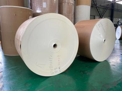 O único PE da parede revestiu a matéria prima de papel do copo de papel do rolo 350+12g