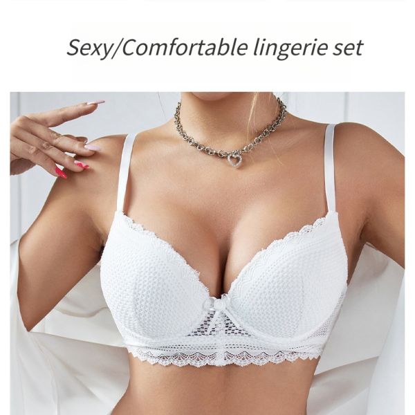 Women Sweet Sexy  Lingerie Set White Color Lace Sexy Lingerie Beautiful Underwear Matching Set Embroidered Lingerie for Women