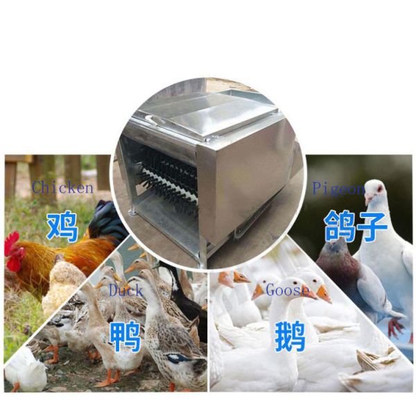 Small Footprint De Feathering Machine Chicken Defeathering Machine For Farms