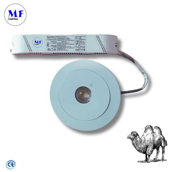 Emergency LED Down Light Ultra-Bright Water-Resistant DIP Switch Control Custom Logo Options for Versatile Installation