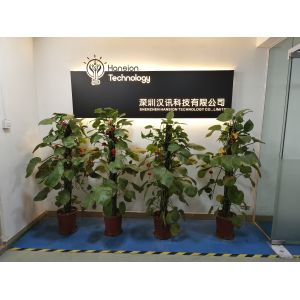 Shenzhen Hansion Technology Co., Ltd.