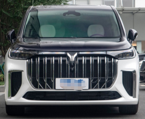 Porte à faible teneur en carbone adaptée aux besoins du client privée 7seats MPV de la version 5 du rêveur 2022 de VOYAH