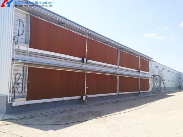 Galvanized Steel Poultry Shed for Large-Scale Chicken Farming