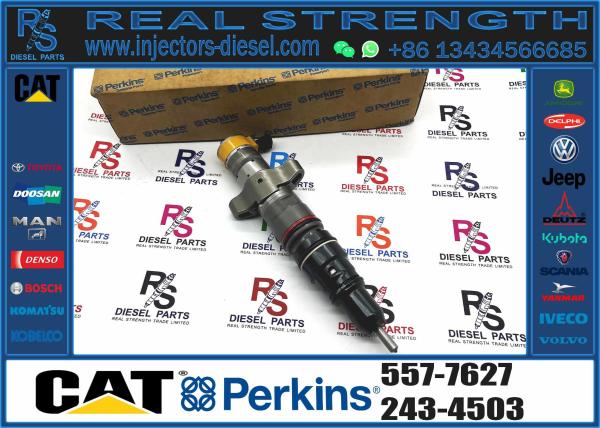 Nouveau moteur diesel pièces détachées C7 C9 injecteur de carburant 387-9427 557-7627 Pour la pelle 324D 324D FM 324D FM LL