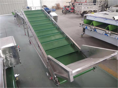 cherry washing drying grading machine, cherry sorting machine, cherry grader sorter