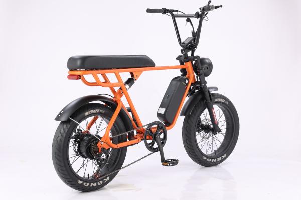 7 Speed 20 Inch Fat Tire Electric Hybrid Bike Full Suspension 250W 48V 15Ah Battery