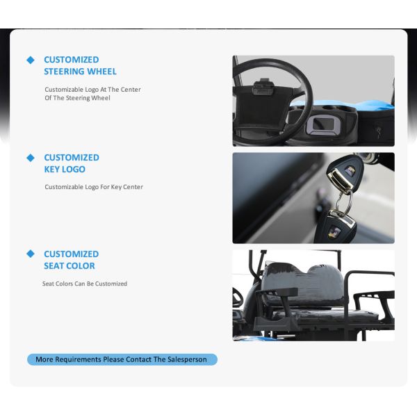 Electric Golf Buggy 2 2 Seat Battery Operated Utility Golf Carts for Your Needs from HM