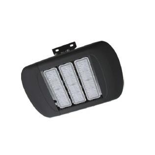 TS1AS LED Tunnel Lights