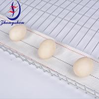 Tapis roulant à œufs en nylon Zhongshen Premium PP2 pour élevage de volailles