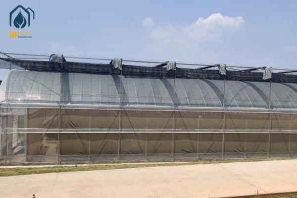 Big Agricultural Modern Garden Greenhouse Plastic Film Multi Span Nursary Greenhouse