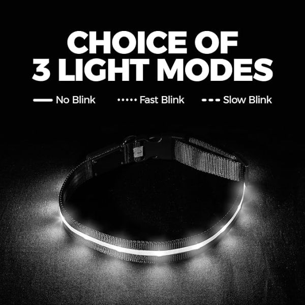 Customization Service Provided Waterproof USB Rechargeable Silicone LED Dog Collar