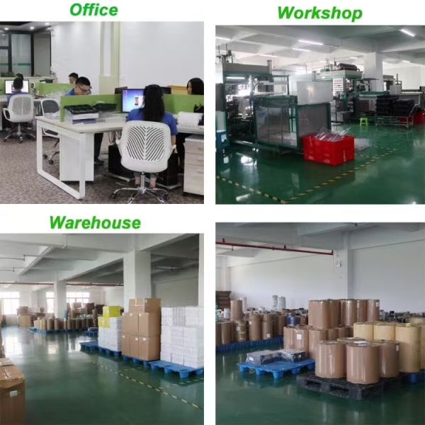 Conteneur à macarons en PET plastique thermoformé sous vide à 36 cavités, personnalisé, avec couvercle transparent