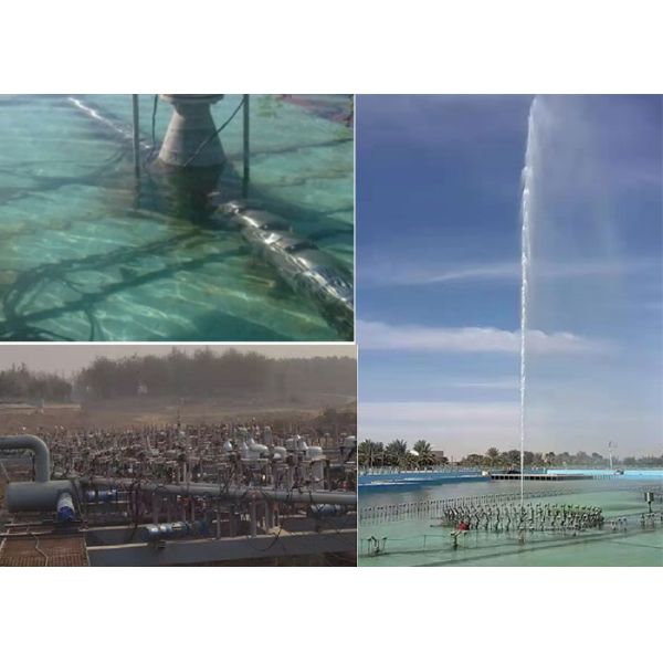 Вертикальный горизонтальный электрический водонасос с подводным насосом