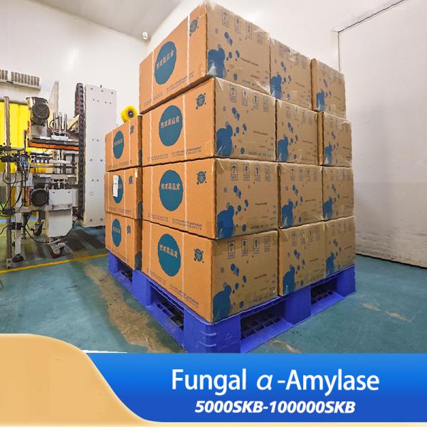 Retarder le vieillissement de l'α-amylase Alpha-amylase fongique pour la fabrication du pain