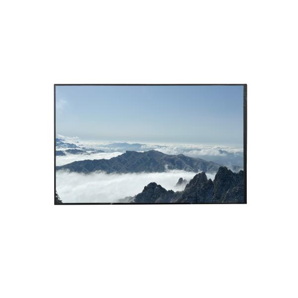 OEM ODM LCD LVDS TFT Display Module 40PIN 250cd/M2 1920*1080 Resolution