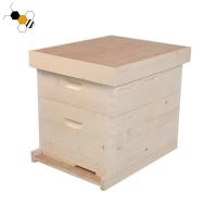 Les biens 10 encadrent la ruche en bois d'abeille de pin épais de 20mm 2 couches