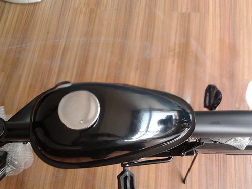 Made Moto Bike 50cc 60cc 80cc Gas Engine Bicycle with V Brake and Plastic Pedal