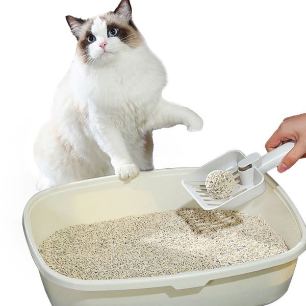 Popular Newest Product OEM/ODM Wholesale Cat Litter 100% Natural Biodegradable Tofu Mix Bentonite Cat Litter