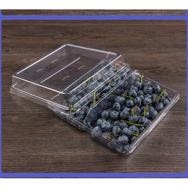 Blueberry box Disposable bowl designed for supermarket/fruit store packaging with transparent PET material