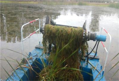 Máquina da remoção de Hyacinth Weed da água da eficiência elevada