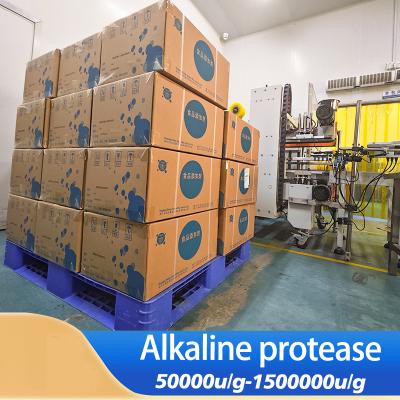 Enzyme de protéase alcaline de qualité alimentaire de qualité industrielle personnalisable