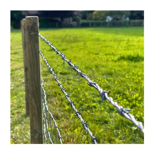 7.5cm-15cm Barb Distance Cross Razor Hot Dip Zinc Plating Razor Barbed Wire for Farm