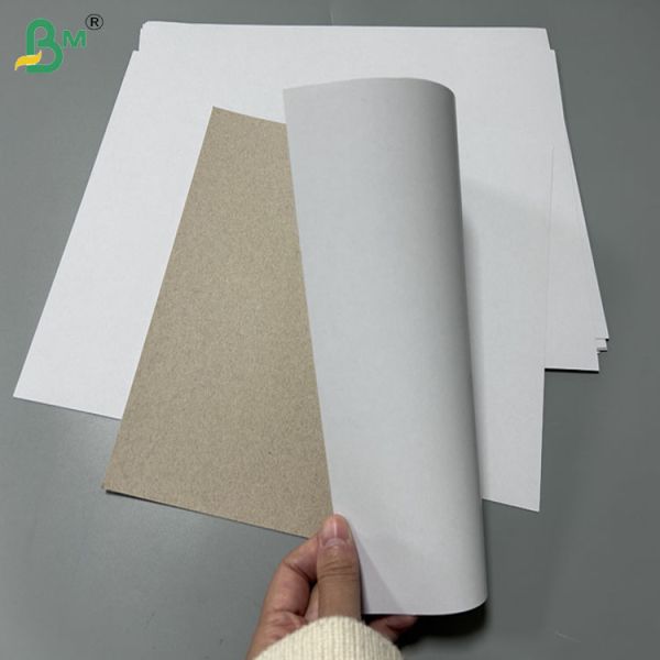 230gram 250gram Anti Mould Coated Duplex Board For Soap Package 700 -900mm