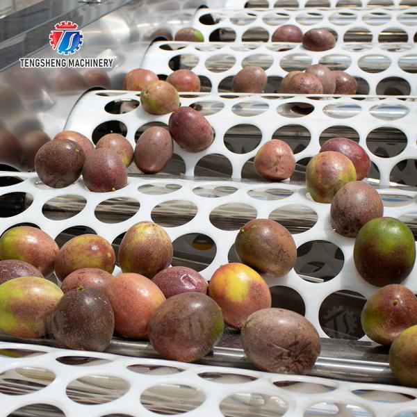 Processing Production Inspecting Grading Fruit Vegetable Onions Saiko persimmon Apple Potato tangerine passion fruit avocado cherry Mango pear banana mangosteen kiwi fruit Fruit Sorting Machine