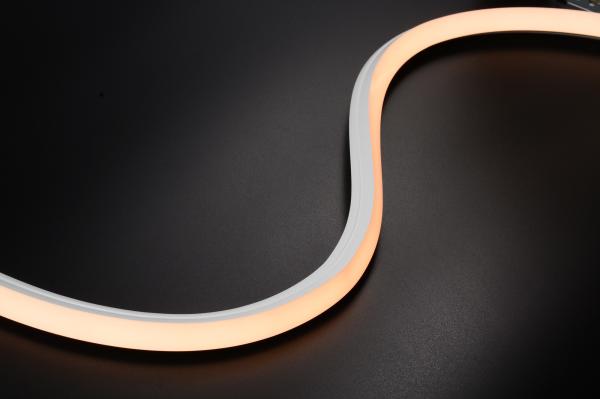 LEDCORP® 3D Neon Flex The Ultimate Choice for Any Project