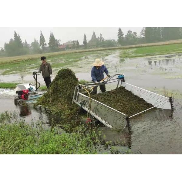 Жатка засорителя высокой эффективности акватическая для резать водорослей реки очищая