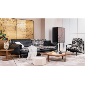 Modern Leather Sofa