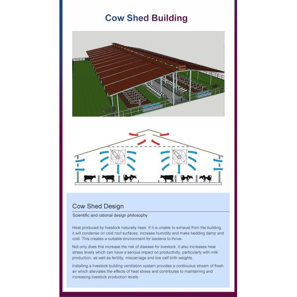 Prefab Cow Shed With EPS Sandwich Panel Walls And Corrugated Steel Sheet Roof Featuring Polyurethane Foam Insulation